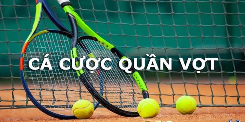 Cá Cược Quần Vợt tại HIPCLUBX: Hướng Dẫn Dành Cho Người Mới và Những Kinh Nghiệm Từ Cao Thủ 2 Cá cược quần vợt tại HIPCLUB