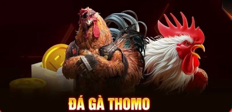 Đá Gà – Game Online kịch tính, đổi thưởng cực đã tại HipClub 2 Đá Gà Thomo loại hình