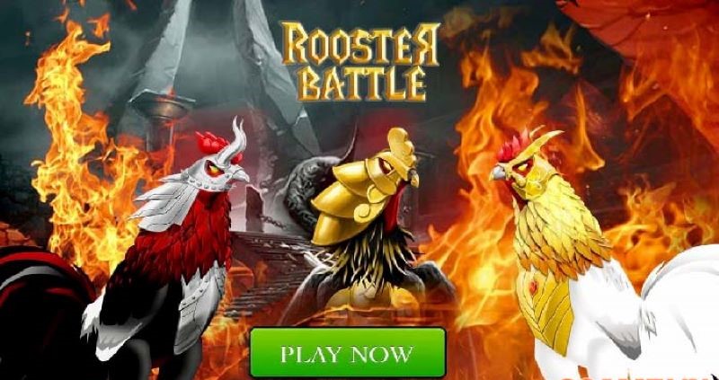 Đá Gà 3D tại nhà cái HipClub – Trải nghiệm cá cược đỉnh cao 2 Tựa game Rooster Battle có hai chế độ là đối kháng và thi đấu